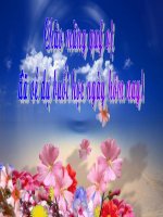 thơ: Hoa quanh lăng Bac