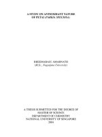 A study on antioxidant nature of petai (parkia speciosa)