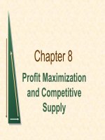 chapter 8 profit maximization and competitive supply 