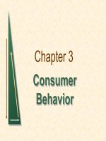 chapter 3 consumer behavior 