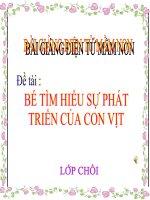 Bài giảng điện tử mầm non lớp Chồi đề tài Bé tìm hiểu sự phát triển của con vịt