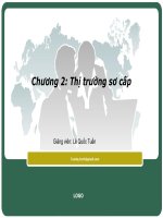 Bài giảng về thị trường sơ cấp giản lược