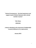 Cultural consequences – the lived experiences and support needs of british pakistanis with a family member in prison’
