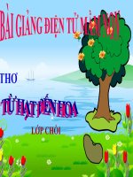 Bài giảng điện tử mầm non lớp Chồi đề tài Từ hạt đến hoa