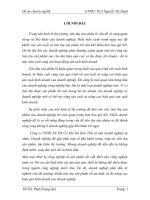 Một số giải pháp nhằm thúc đẩy tốc độ tiêu thụ sản phẩm tại công ty TNHH SX TM cơ khí hà kim tiền