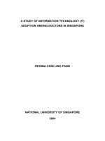 A study of information technology (IT) adoption among doctors in singapore
