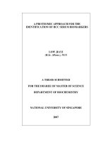 A proteomic approach for the identification of HCC serum biomarkers