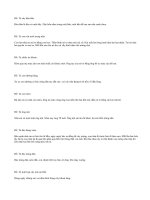 Những bài văn bất hủ của học sinh