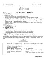 Bài 12: Sâu bệnh hại cây trồng