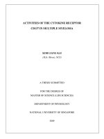 Activities of the cytokine receptor CD137 in multiple myeloma