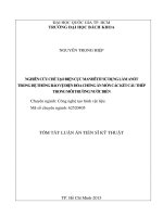 Nghiên cứu chế tạo điện cực magnetite sử dụng làm anode trong hệ thống bảo vệ điện hóa chống ăn mòn các kết cấu thép trong môi trường nước biển