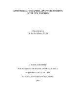 Adventurism singapore adventure tourists in the new economy