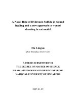 A novel role of hydrogen sulfide in wound healing and a new approach to wound dressing in rat model