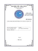 CÔNG NGHỆ SINH KHÍ HYDRO CÓ SỬ DỤNG VI SINH VẬT