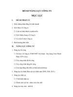 HỒ sơ NĂNG lực CÔNG TY TNHH MTV kỹ THUẬT xây DỰNG TOÀN THỊNH PHÁT