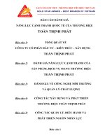 BÁO cáo ĐÁNH GIÁ NĂNG lực CẠNH TRANH QUỐC tế của THƯƠNG HIỆU TOÀN THỊNH PHÁT