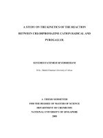 A study on the kinetics of the reaction between chlorpromazine cation radical and pyrogallol