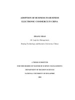 Adoption of business to business electronic commerce in china