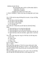 ĐỀ THI VẬT LÝ 9 HK II 2010 2011