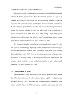 A novel protein from helicobacter pylori with a potential role in gastroduodenal diseases