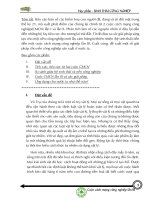 tiểu luận về sinh thái công nghiệp cuộc cách mạng công nghiệp lần iii