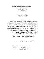 Điều tra nghiên cứu thành phần loài côn trùng, đặc điểm hình thái, sinh học sinh thái của sâu cuốn lá lamprosema indicata fabr  trên cây đậu tương vùng ngoại thành hà nội vụ đông xuân 2014   2015