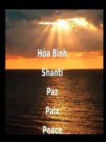 Sứ Giả Hòa BÌnh