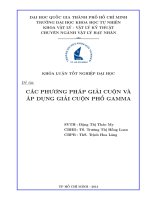 Các phương pháp giải cuộn và áp dụng giải cuộn phổ gamma