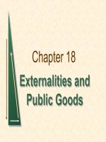 chapter 18 externalities and public goods 