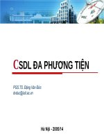 Silde bài giảng cơ sở dữ liệu đa phương tiện 