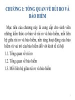 bài giảng bảo hiểm đại cương   tổng quan về rủi ro và bảo hiểm