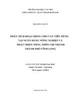 phân tích hoạt động cho vay tiêu dùng tại ngân hàng nông nghiệp và phát triển nông thôn chi nhánh thành phố vĩnh long