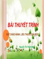 Bát cháo hành, liều thuốc giải độc   nguyễn thị thanh mai