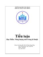 Tiểu luận học phần năng lượng mới trong kĩ thuật
