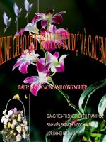 bài 32.Địa lí các ngành công nghiệp