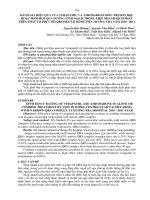 đánh giá hiệu quả của verapamil và amiodarone điều trị đơn độc hoặc phối hợp qua đường tĩnh mạch trong nhịp nhanh kịch phát trên thất có phức bộ qrs hẹp tại bệnh viện hương trà năm 2010 2011 