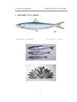 Nguyên liệu và quy trình công nghệ cá trích sốt đóng hộp