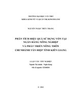 phân tích hiệu quả sử dụng vốn tại ngân hàng nông nghiệp và phát triển nông thôn chi nhánh tân hiệp tỉnh kiên giang