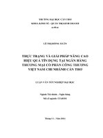 thực trạng và giải pháp nâng cao hiệu quả tín dụng tại ngân hàng thương mại cổ phần công thương việt nam chi nhánh cần thơ