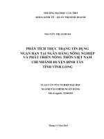 phân tích thực trạng tín dụng ngắn hạn tại ngân hàng nông nghiệp và phát triển nông thôn việt nam chi nhánh huyện bình tân tỉnh vĩnh long