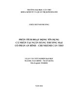 phân tích hoạt động tín dụng cá nhân tại ngân hàng thương mại cổ phần an bình – chi nhánh cần thơ