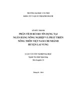 phân tích rủi ro tín dụng tại ngân hàng nông nghiệp và phát triển nông thôn việt nam chi nhánh huyện lai vung
