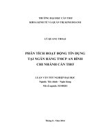 phân tích hoạt động tín dụng tại ngân hàng tmcp an bình chi nhánh cần thơ