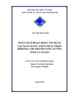 phân tích hoạt động tín dụng tại ngân hàng tmcp phát triển mêkông chi nhánh long xuyên, tỉnh an giang