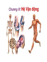 Bài giảng sinh học động vật   chương 3 hệ vận động