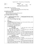 Giáo án kĩ thuật lớp 5