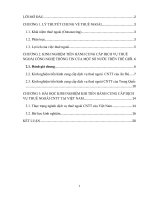 khóa luận Kinh nghiệm tiến hành cung cấp dịch vụ thuê ngoài từ một số nước trên thế giới, bài học kinh nghiệm rút ra cho Việt Nam