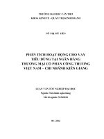 phân tích hoạt động cho vay tiêu dùng tại ngân hàng thương mại cổ phần công thương việt nam – chi nhánh kiên giang