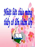 VẬT LÝ 6  BÀI 13   MÁY CƠ ĐƠN GIẢN  THANH LÀI