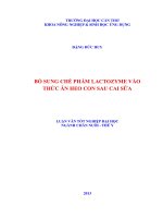 bổ sung chế phẩm lactozyme vào thức ăn heo con sau cai sữa